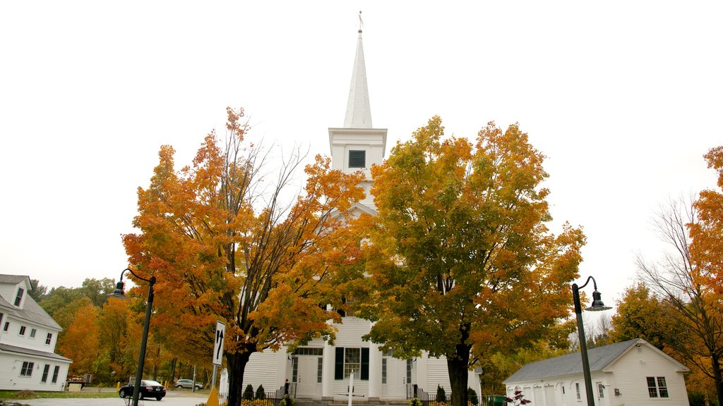 Dublin inclusief herfstkleuren en een kerk of kathedraal