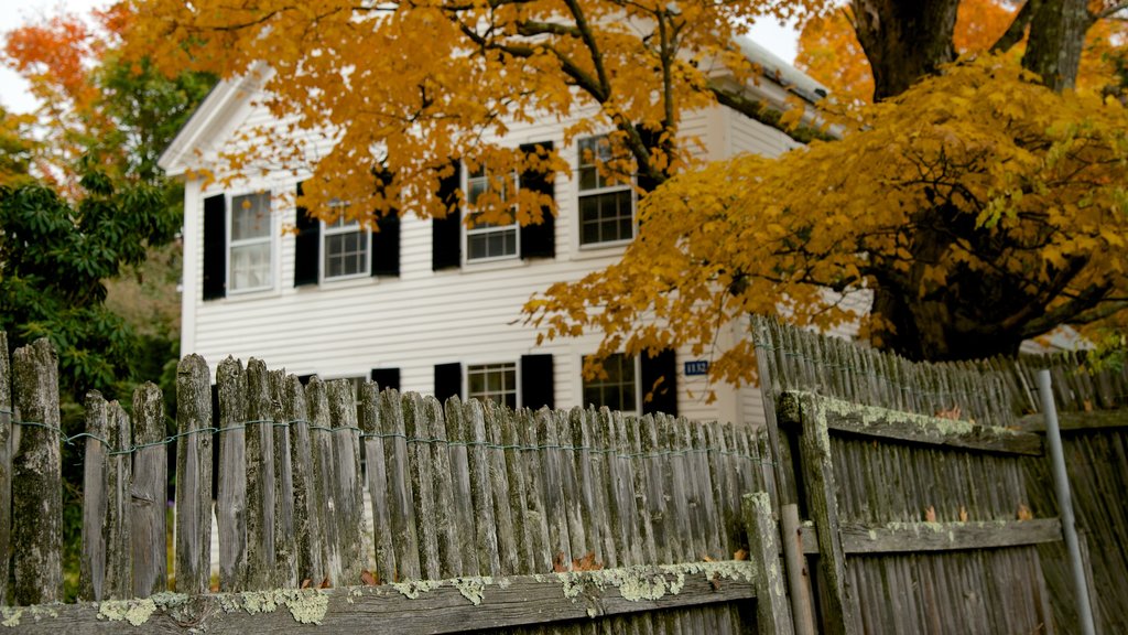 Dublin showing autumn colours and a house