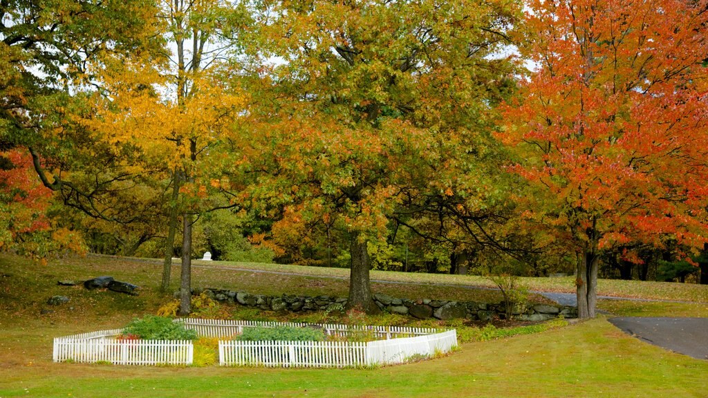 Dublin which includes a park and fall colors