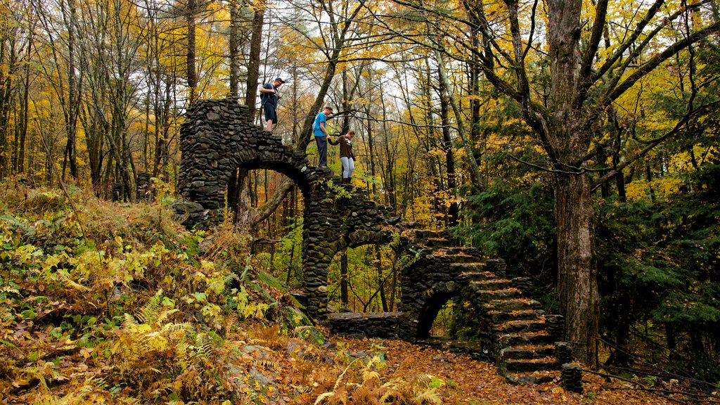 Chesterfield montrant éléments du patrimoine, forêts et feuilles d’automne