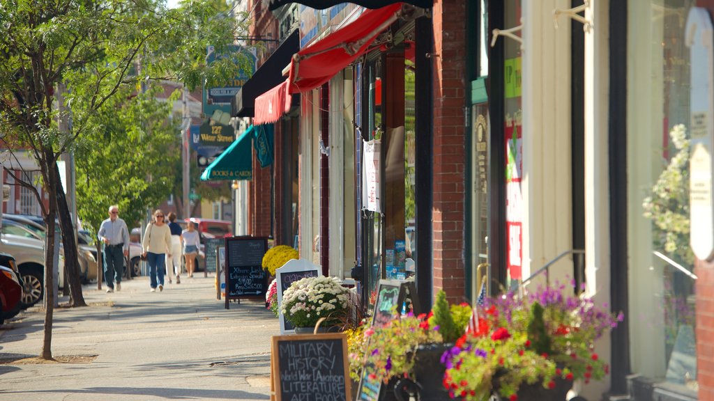 Exeter showing central business district and flowers