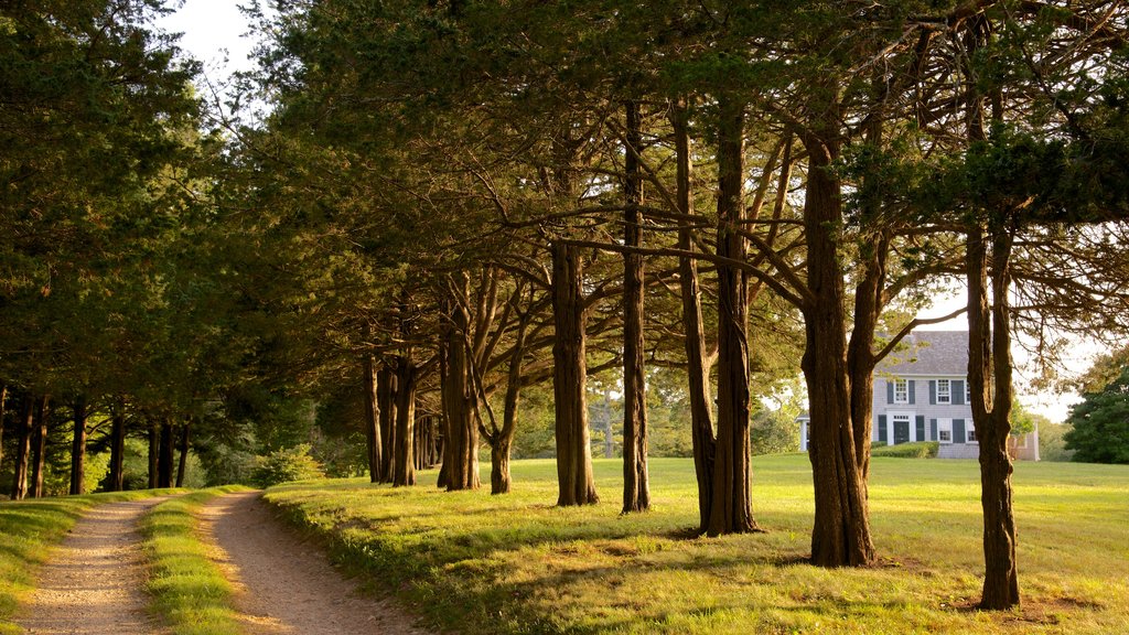 Hyannis fasiliteter samt hus og park