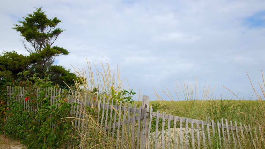 Nauset Beach which includes tranquil scenes