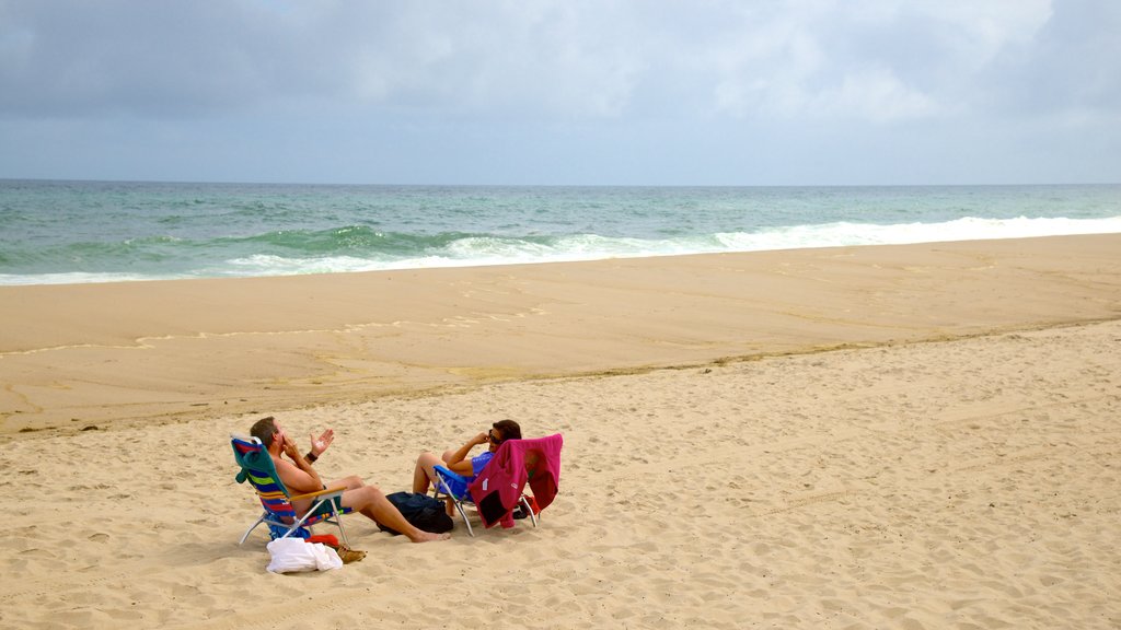 Nauset Beach showing a sandy beach as well as a couple