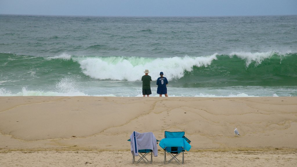 Nauset Beach montrant une plage de sable aussi bien que un couple