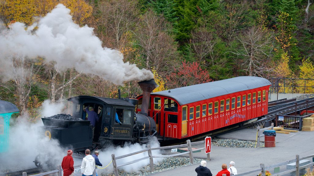 Mount Washington Cog Railway mostrando artículos ferroviarios