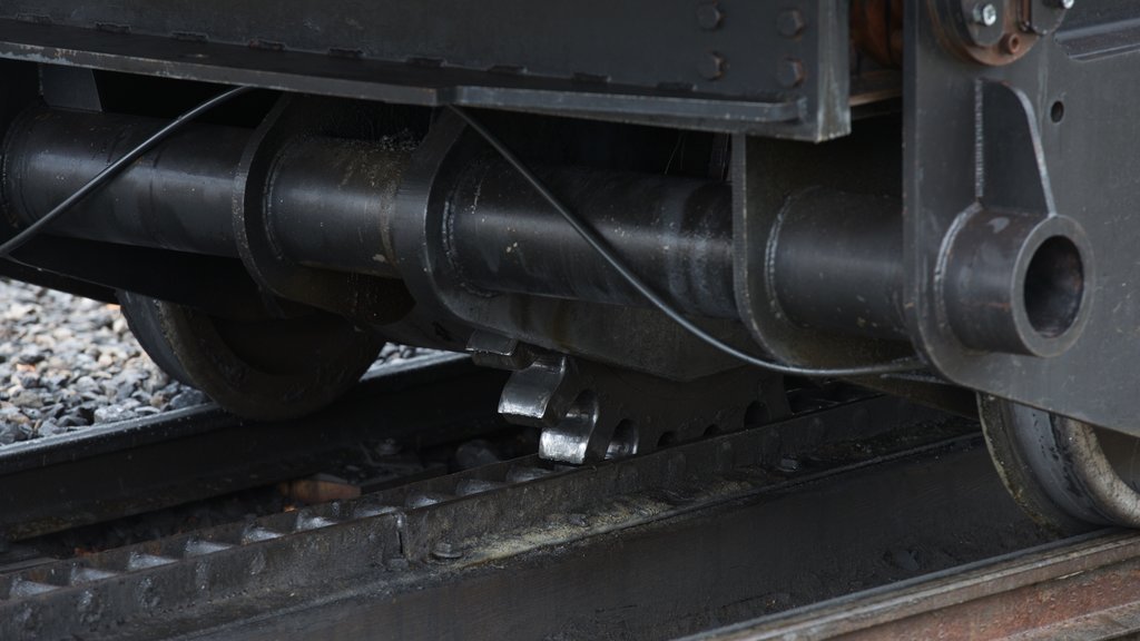 Mount Washington Cog Railway showing railway items