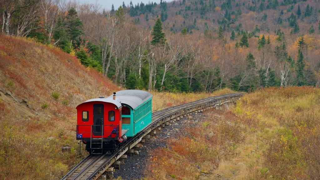 Mount Washington Cog Railway que inclui itens de ferrovia