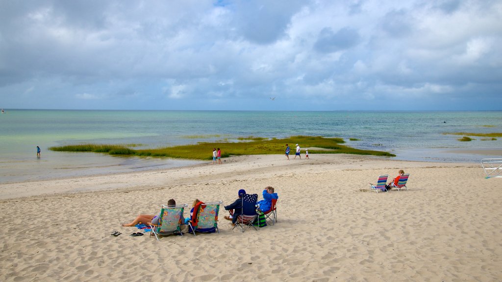 Skaket Beach mostrando uma praia assim como um pequeno grupo de pessoas