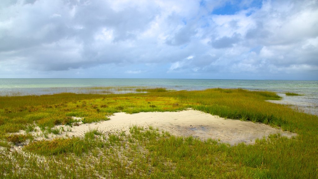 Skaket Beach featuring a sandy beach