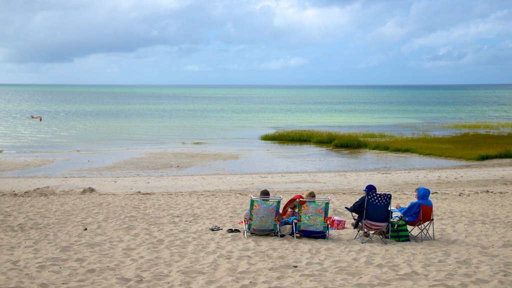 Skaket Beach ofreciendo una playa de arena y también una familia