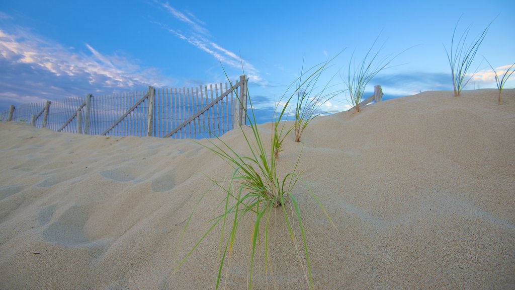 Herring Cove Beach featuring a beach