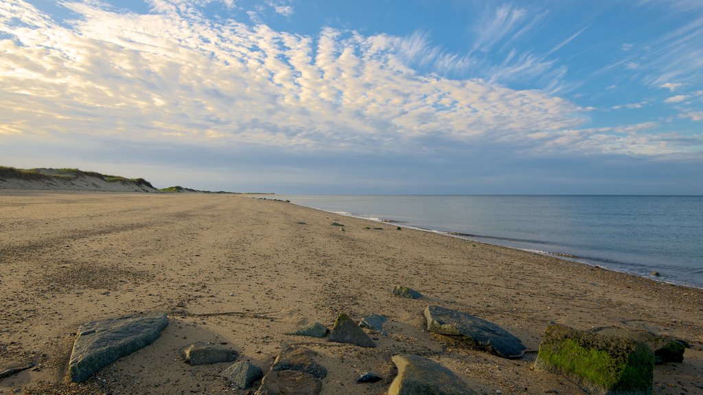 Herring Cove Beach mostrando paisagem e uma praia de areia