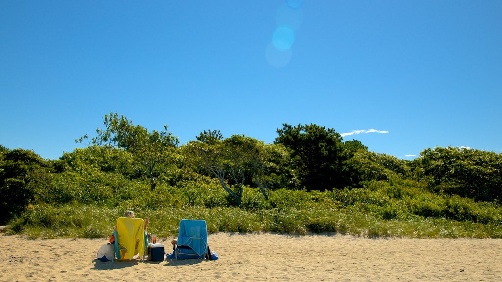 South Cape Beach State Park showing a beach as well as a couple