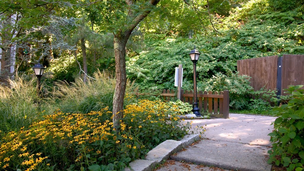 Jenney Grist Mill showing a park and flowers