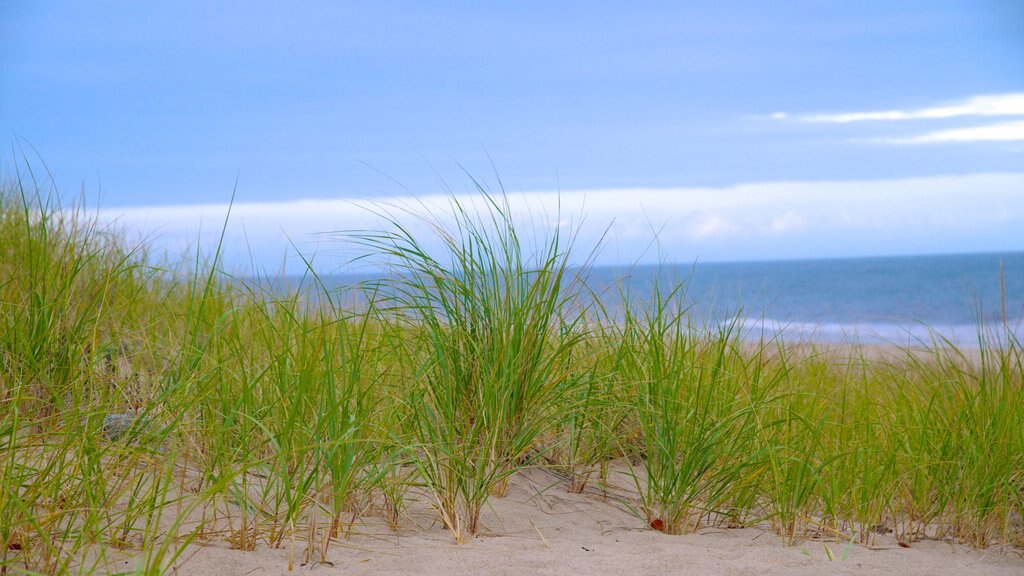 Highland Lighthouse featuring a beach