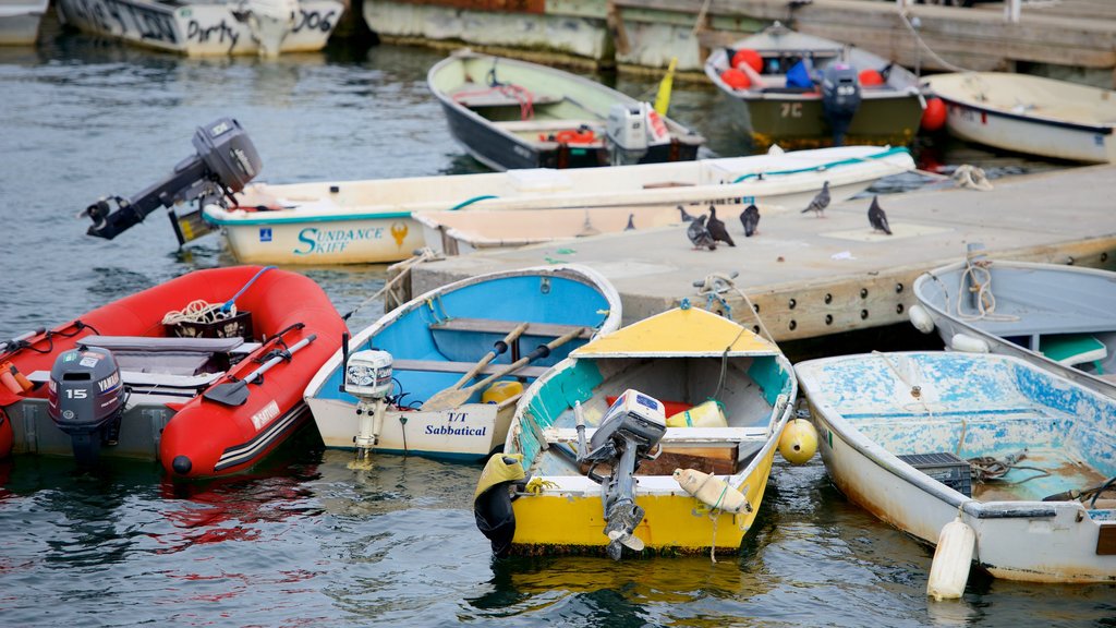 MacMillan Pier showing a marina