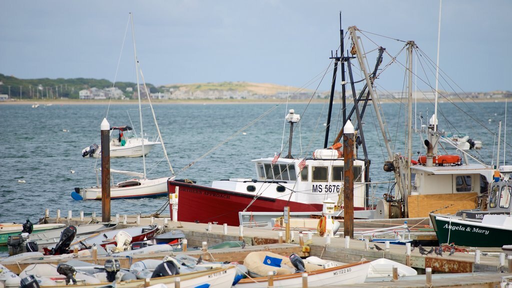 MacMillan Pier bevat algemene kustgezichten, een jachthaven en varen