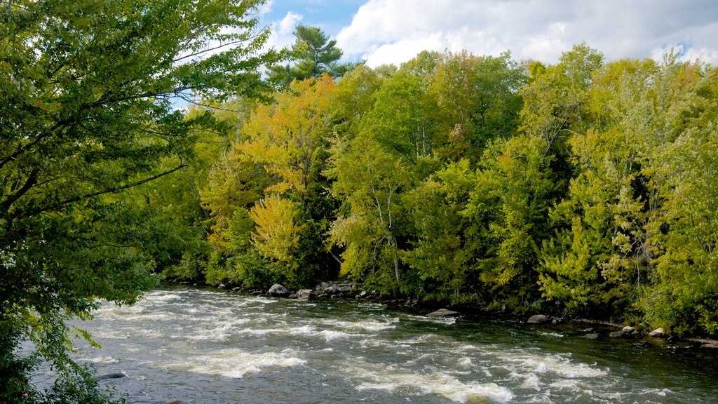 New Hampshire which includes forests and a river or creek