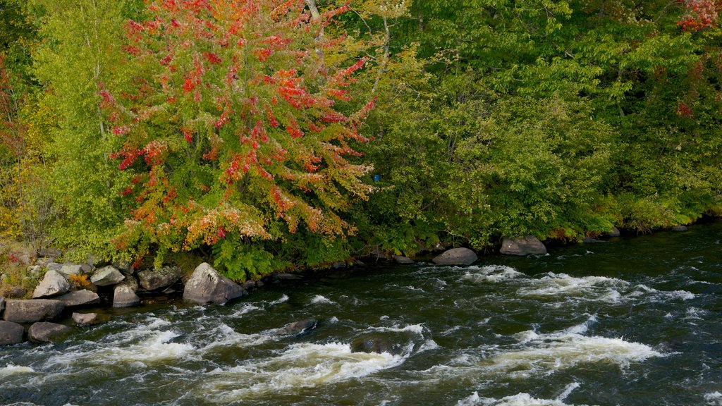 New Hampshire mostrando um rio ou córrego