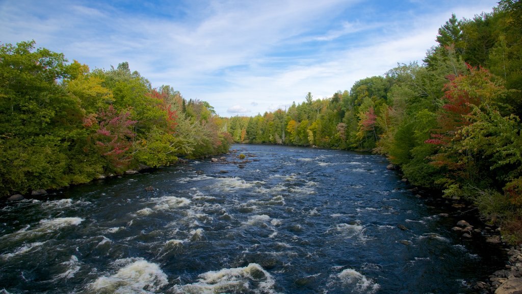 New Hampshire qui includes une rivière ou un ruisseau et paysages en forêt