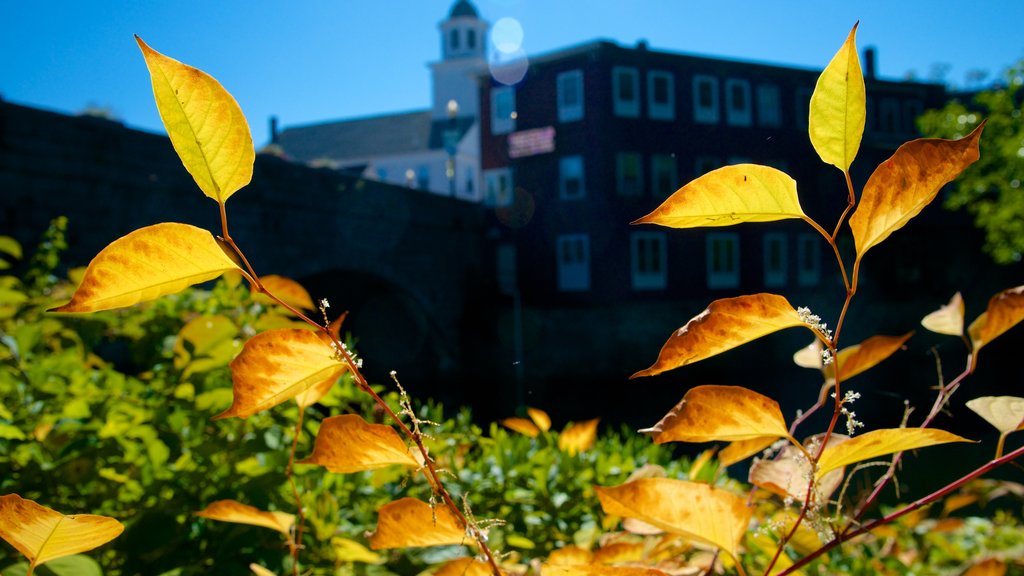 New Hampshire mostrando colores de otoño