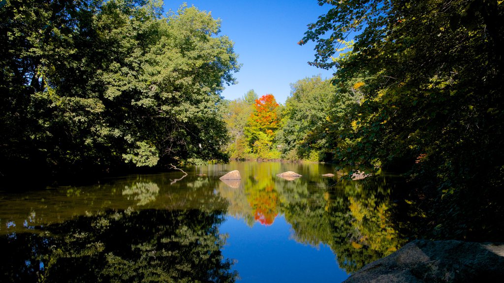 New Hampshire som omfatter en flod eller et vandløb og skove