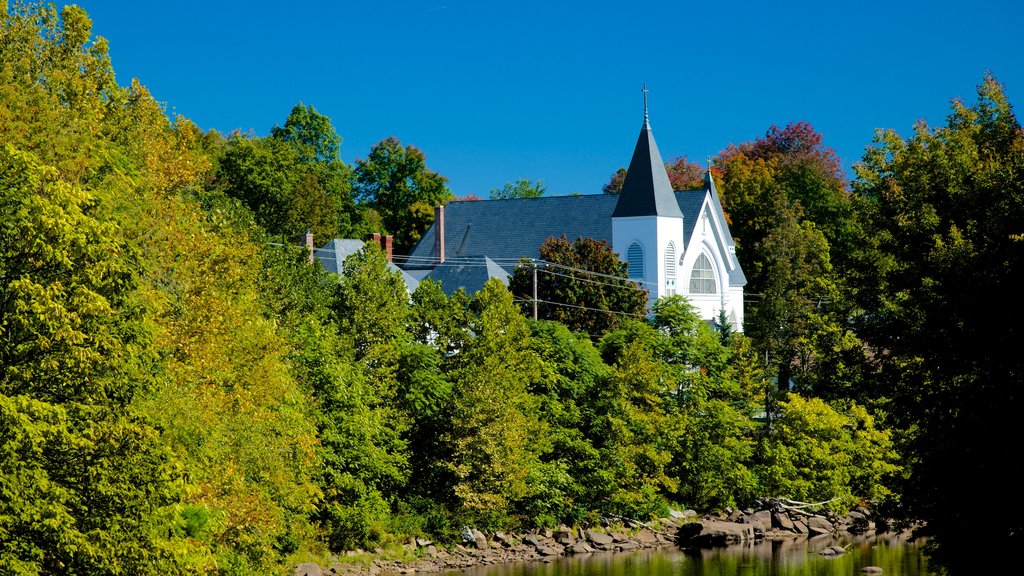 New Hampshire showing forest scenes