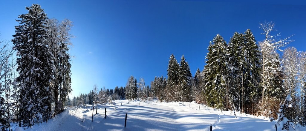 Ski à Chamonix.jpg