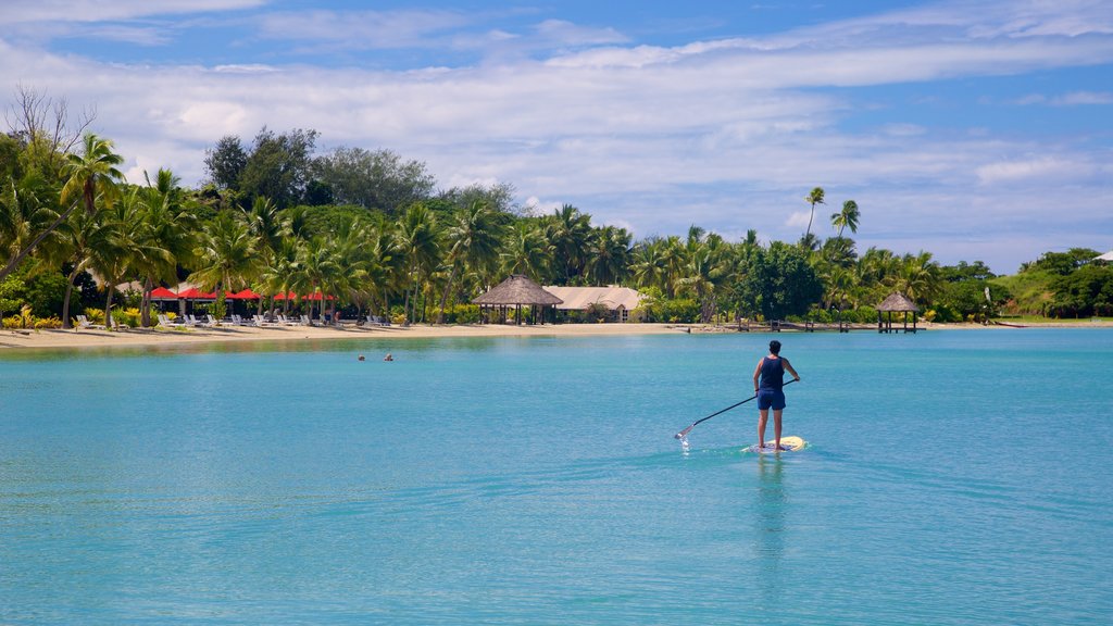 Musket Cove Marina which includes water sports and tropical scenes