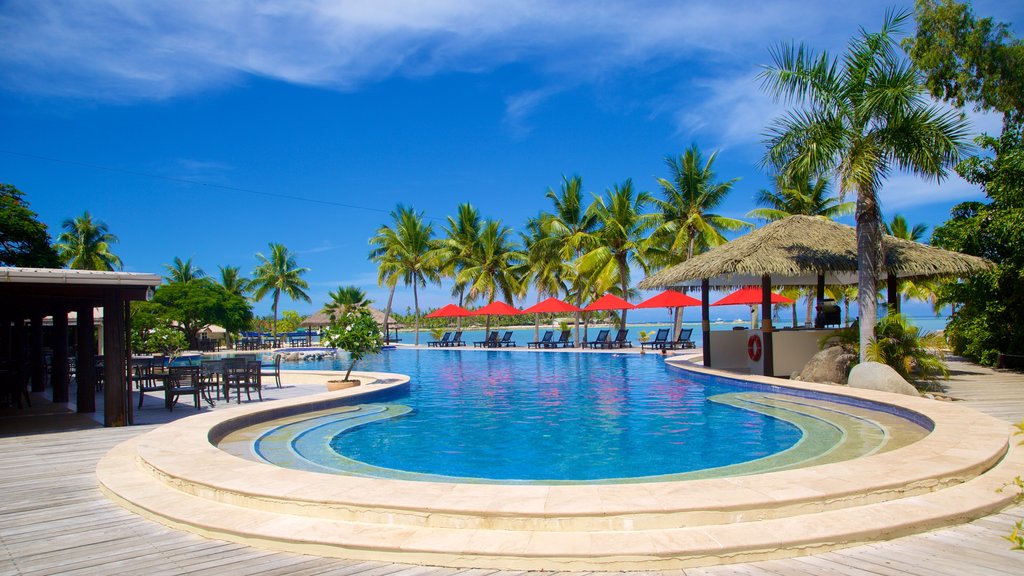 Musket Cove Marina which includes a pool and tropical scenes