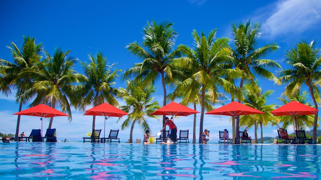 Musket Cove Marina which includes tropical scenes and a pool