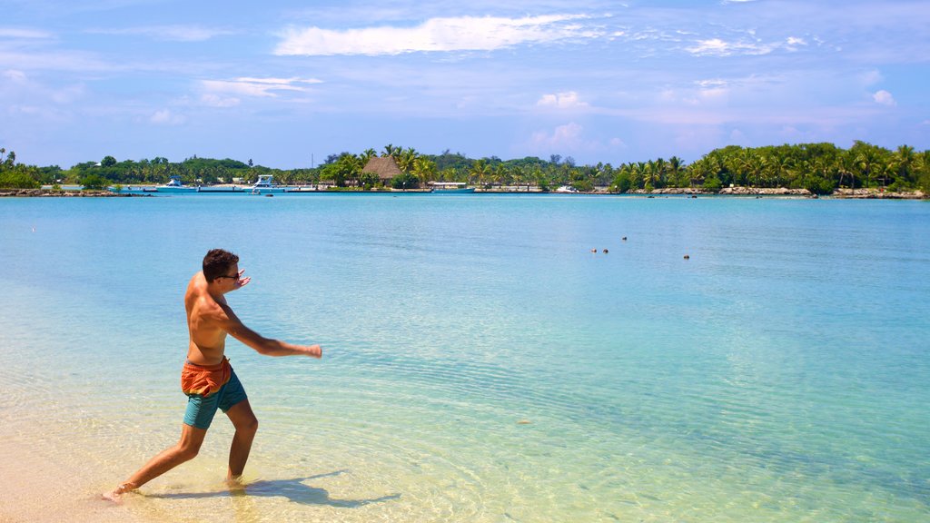 Musket Cove Marina showing a sandy beach as well as an individual male