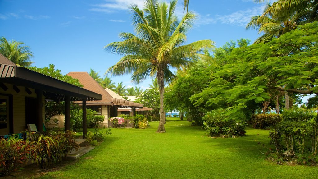 Musket Cove Marina showing tropical scenes and a hotel