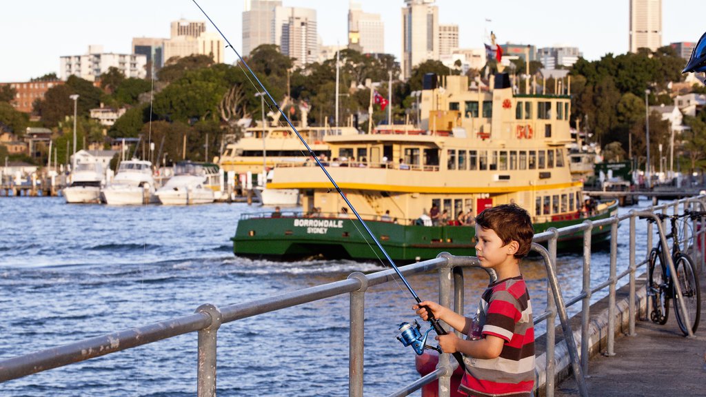 Balmain showing a ferry, fishing and a city