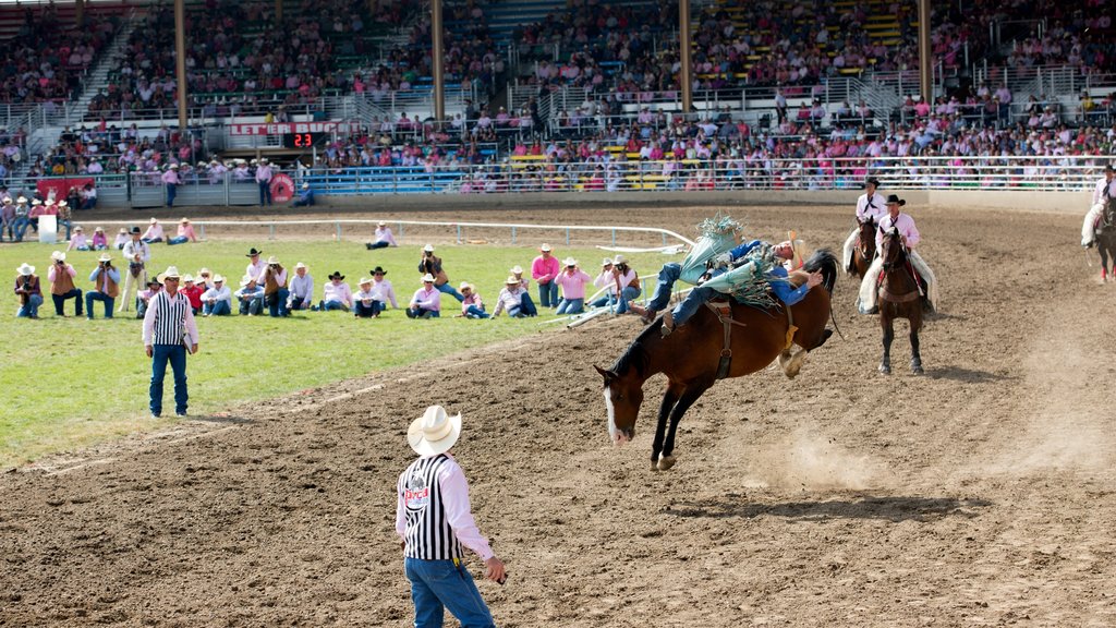 Pendleton featuring a sporting event and land animals as well as a large group of people