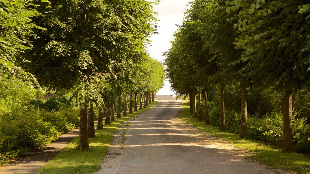 Prieure de St-Cosme showing forest scenes