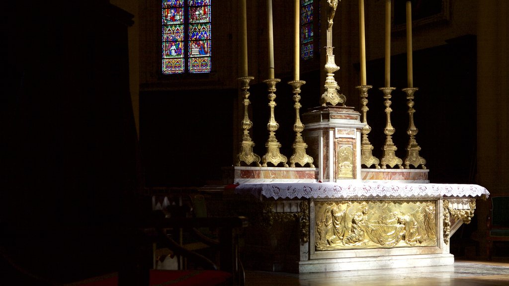 Dijonkatedralen som visar en kyrka eller katedral, religiösa element och historiska element