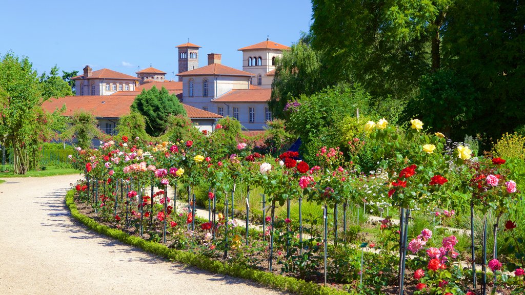 Jardim Botânico do Thabor que inclui um jardim e flores