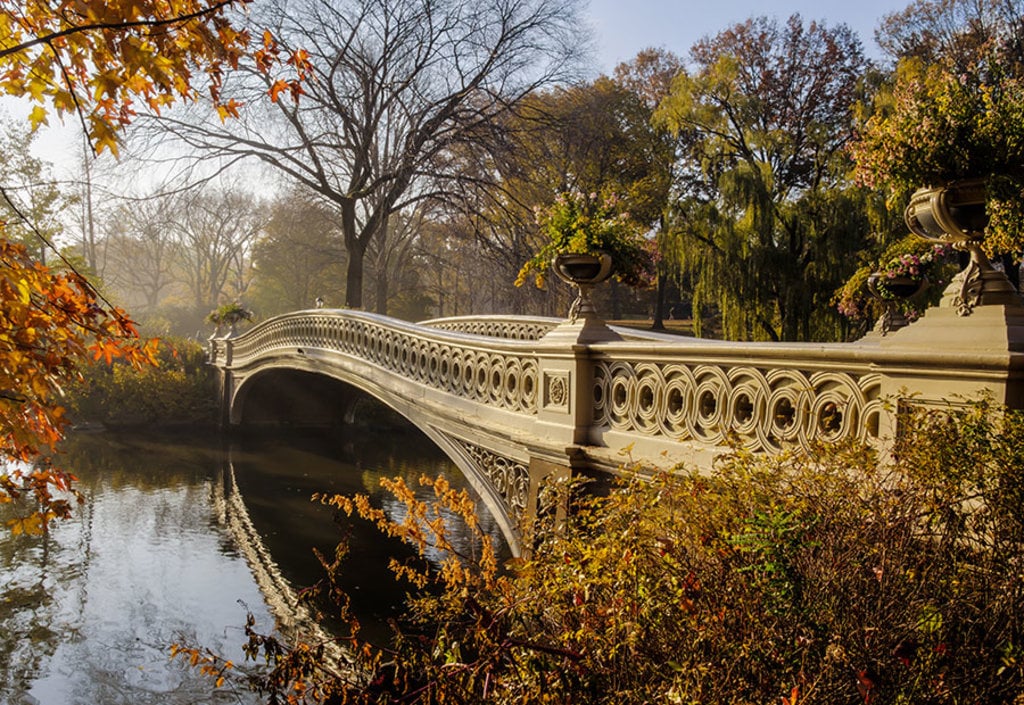 bridge_centralpark.jpg