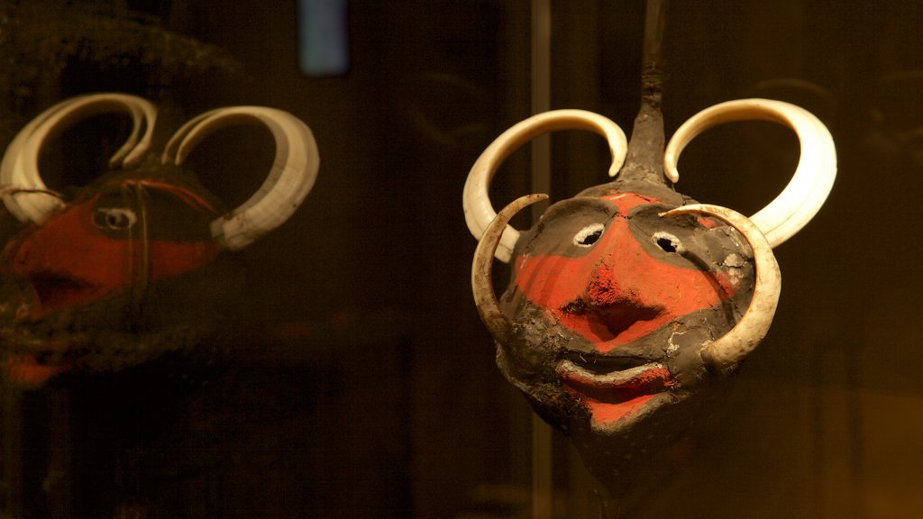 Museu de História Natural