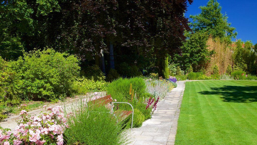 Natural History Museum showing a garden