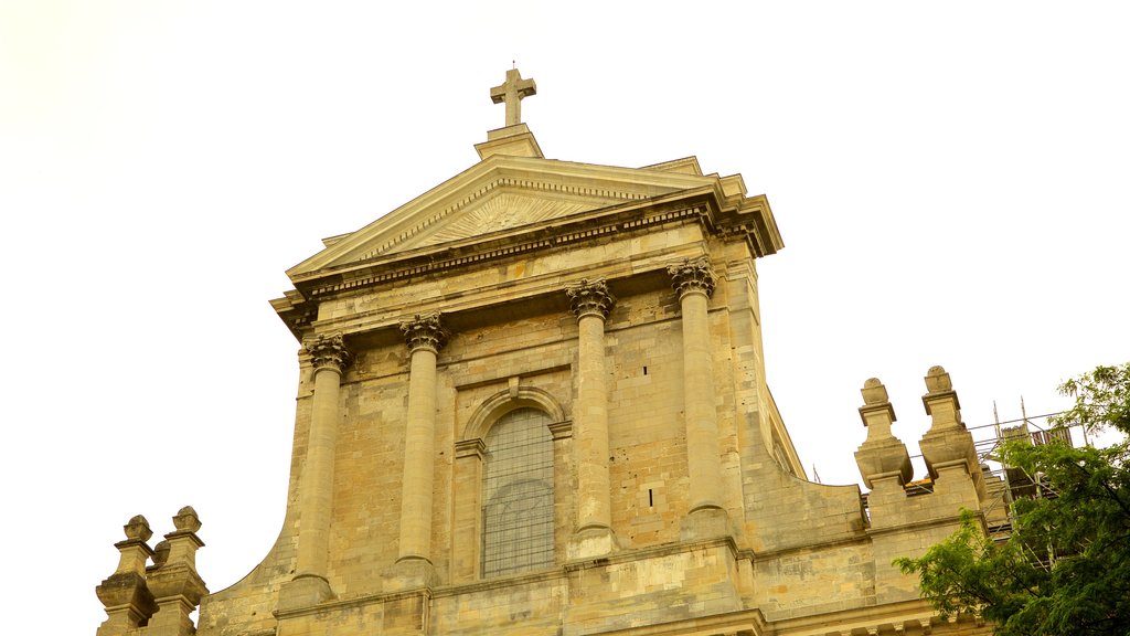 Notre Dame Cathedral featuring heritage architecture and heritage elements