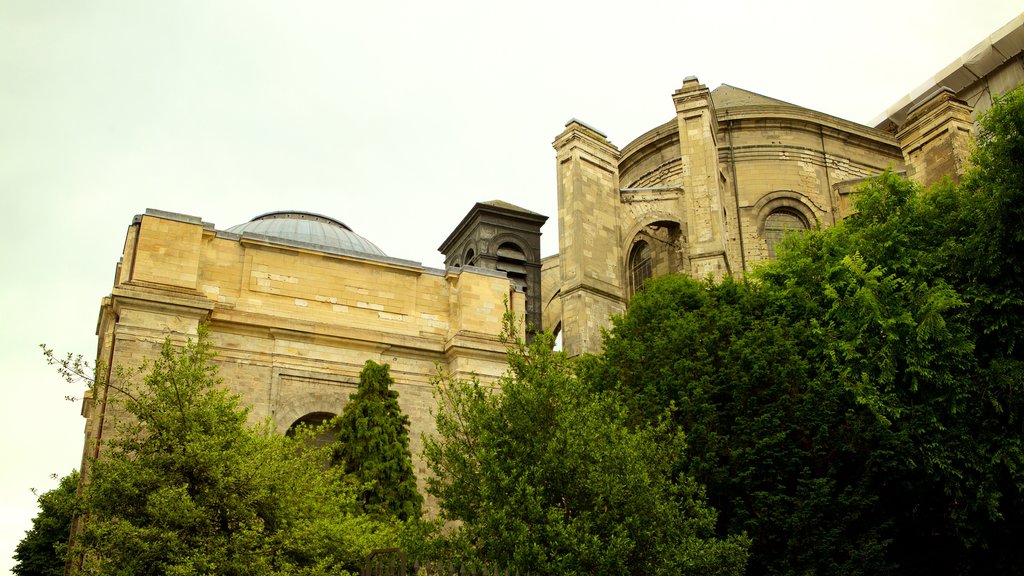 Cathédrale Notre-Dame qui includes patrimoine historique et patrimoine architectural