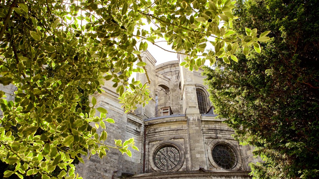 Catedral de Notre Dame mostrando elementos de patrimônio