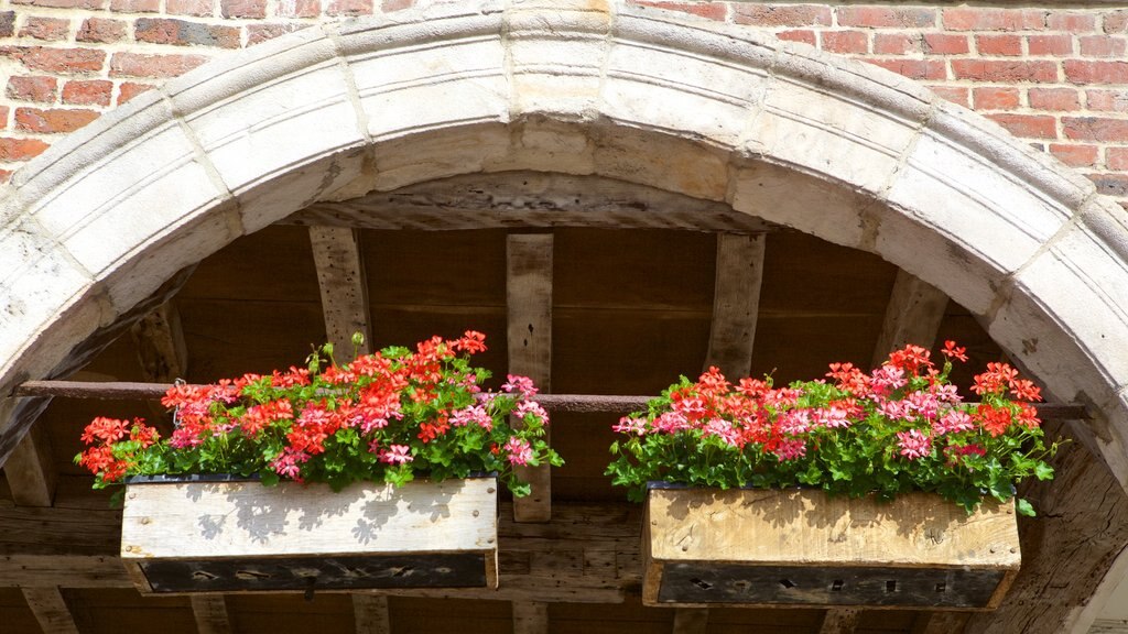 Grand Place que incluye flores