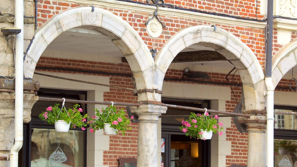 Grand-Place mettant en vedette fleurs