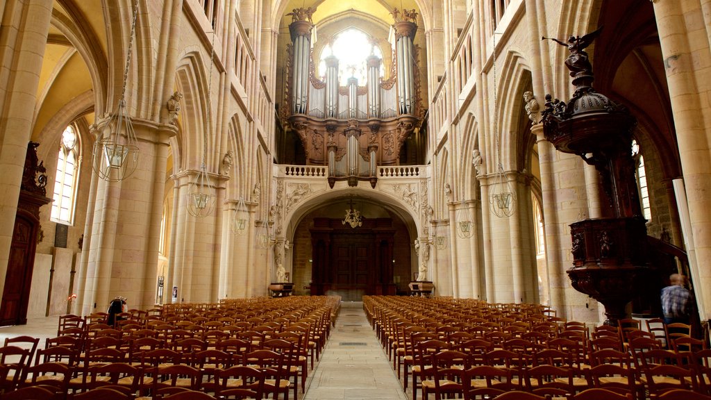 Dijon Cathedral which includes interior views, heritage elements and a church or cathedral