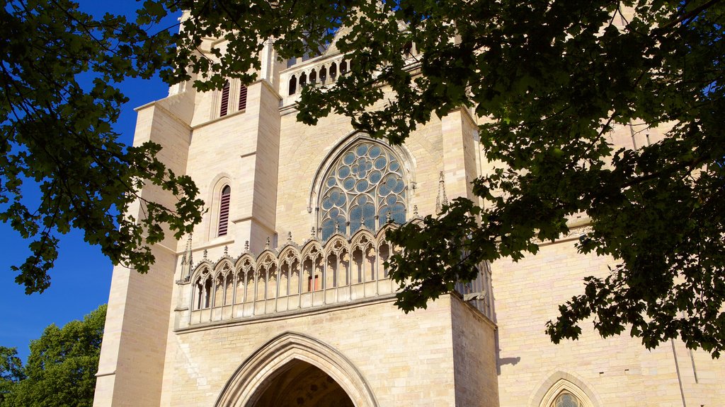 Catedral de Dijon ofreciendo elementos del patrimonio y patrimonio de arquitectura