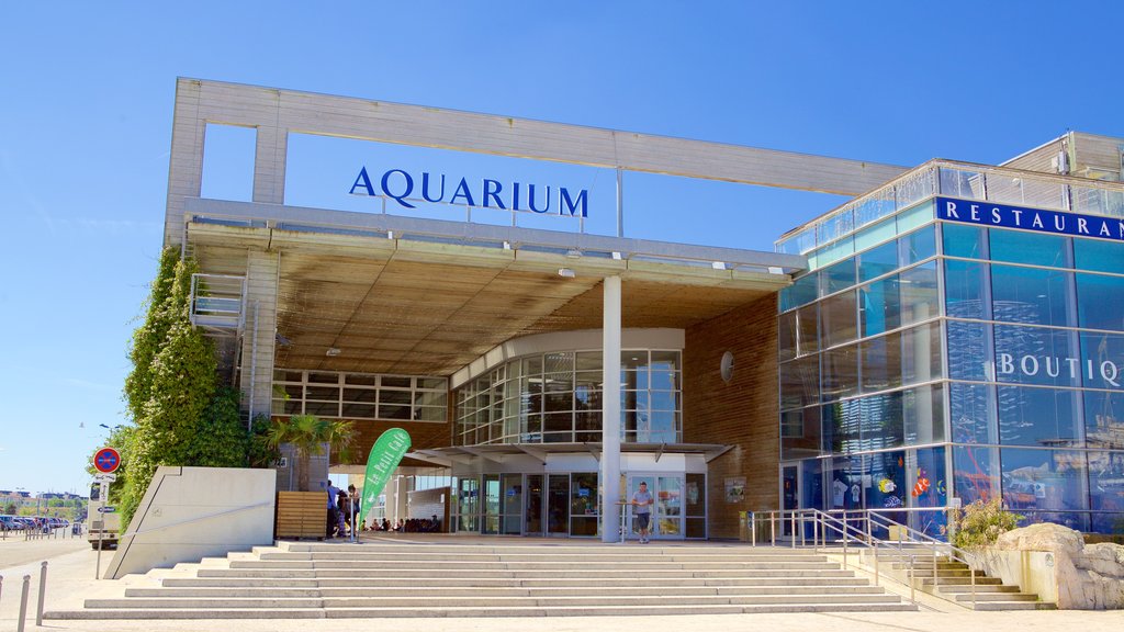 Aquarium La Rochelle que inclui vida marinha